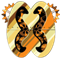 Nkonsonkonson symbol